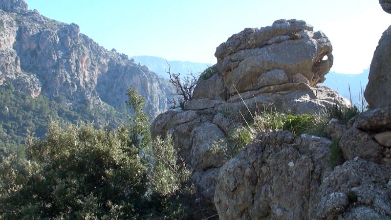 Still 108.jpg - Coll de Biniamar